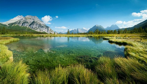 Explorer barcelone autrement grâce à un site internet spécialiste